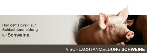 Handlbauer Group Schwein